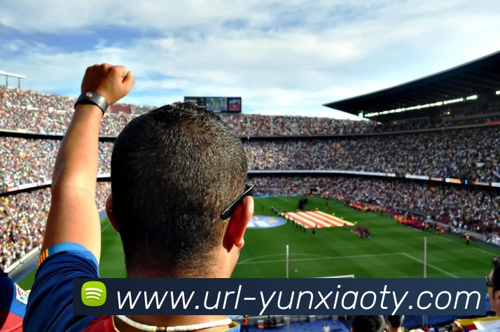 App Interface Preview