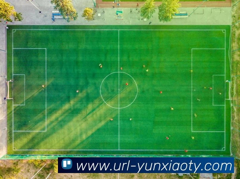 云霄体育APP 封面图